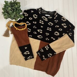 Andree by Unit Leopard Color Block Sweater